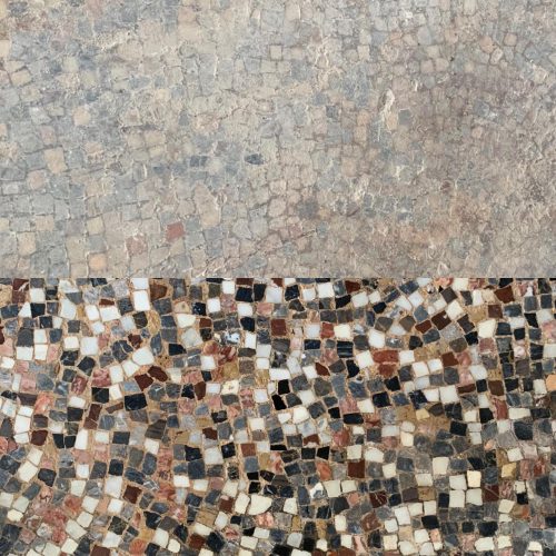 357079702_217802494577913_2780519765478783394_n