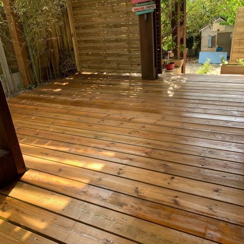 WhatsApp Image 2023-07-26 at 15.30.59