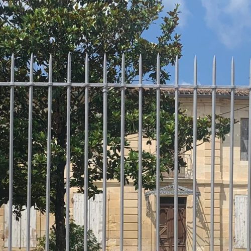 WhatsApp Image 2023-07-27 at 10.40.01 (1)